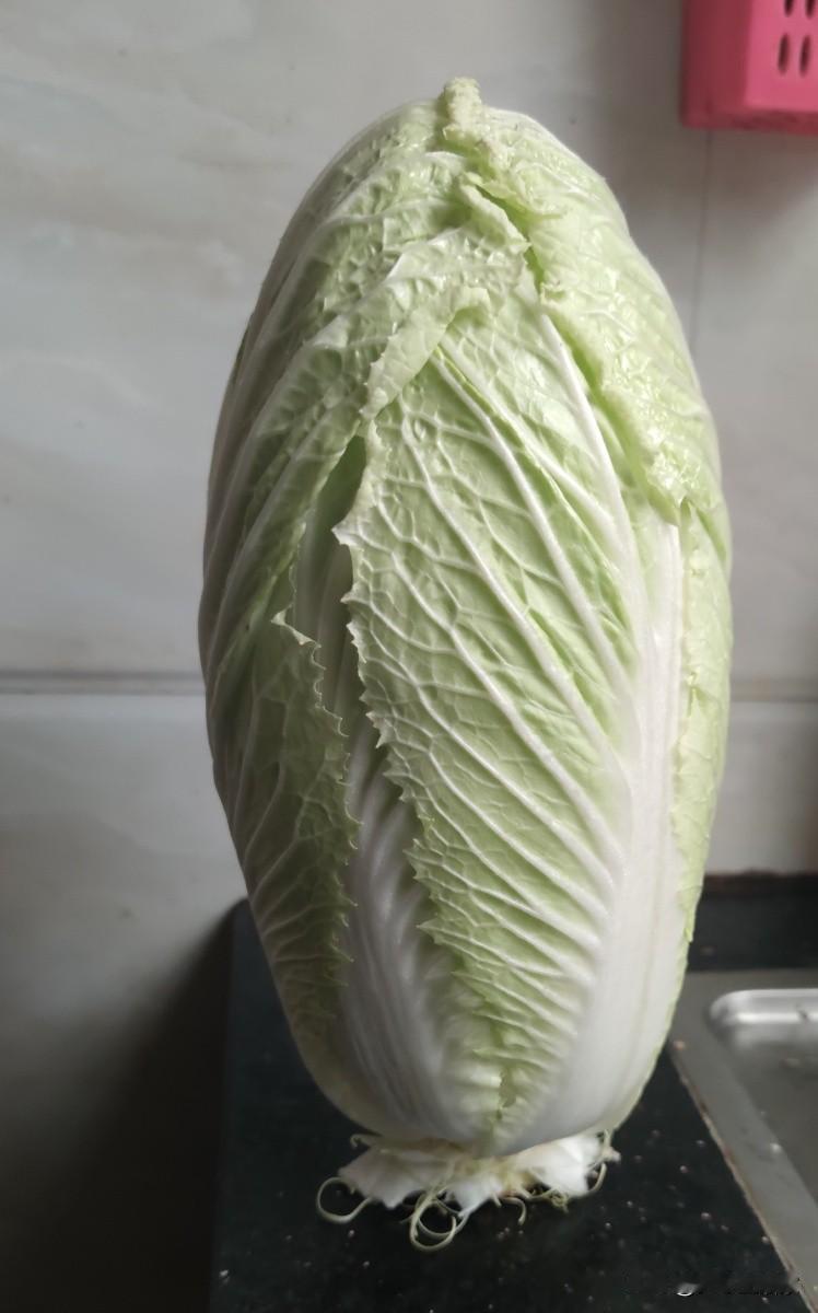一颗老鼠屎，坏了一整锅汤！个别经销商为了省运费赚黑心钱，竟然往大白菜上蘸甲醛保鲜