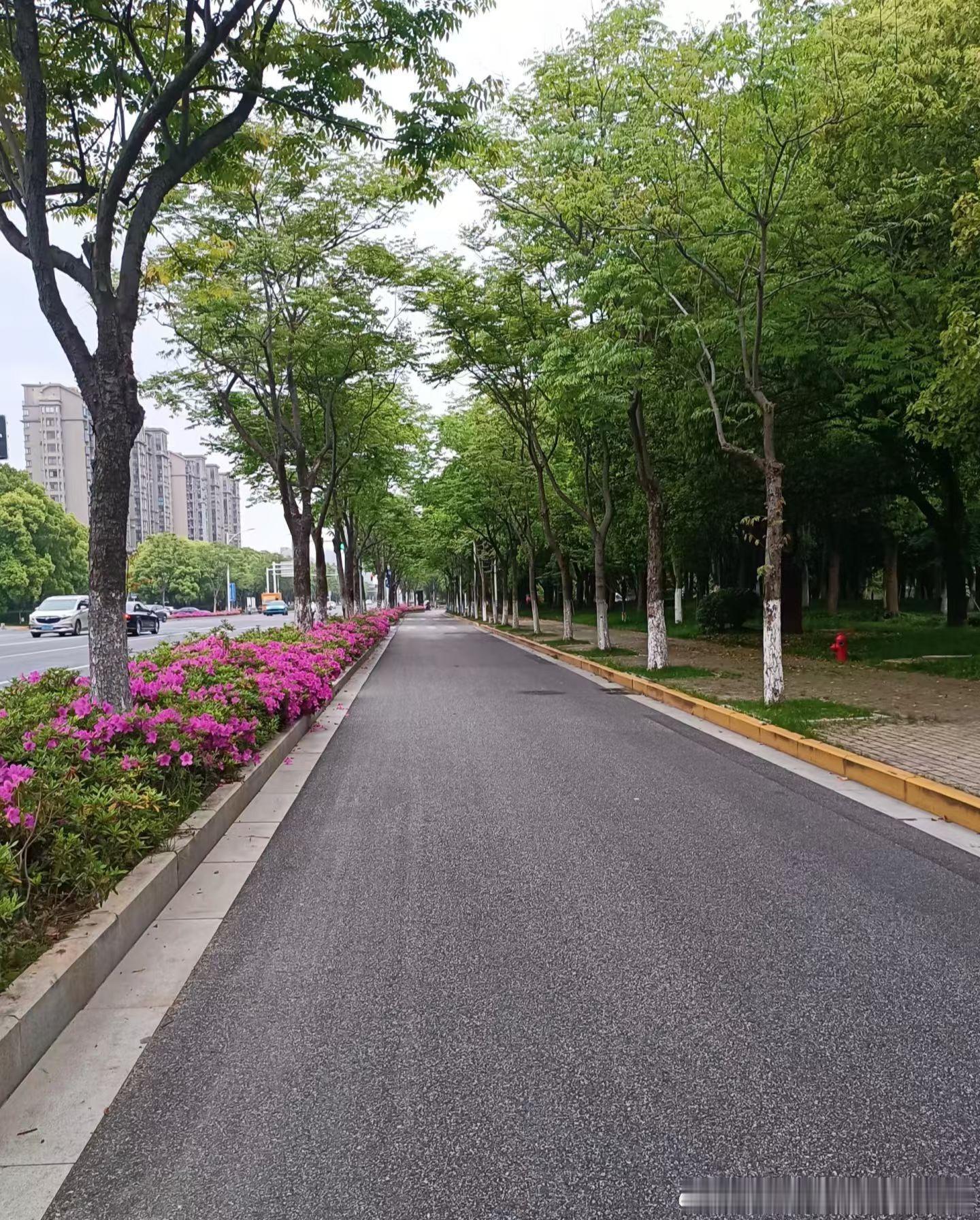 原来治愈不需要很远的风景✨你们通勤路上会停下来看天空吗？ ​​​