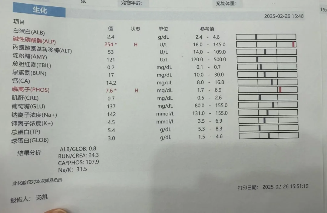 兔子肝很大 ALP高 是什么原因