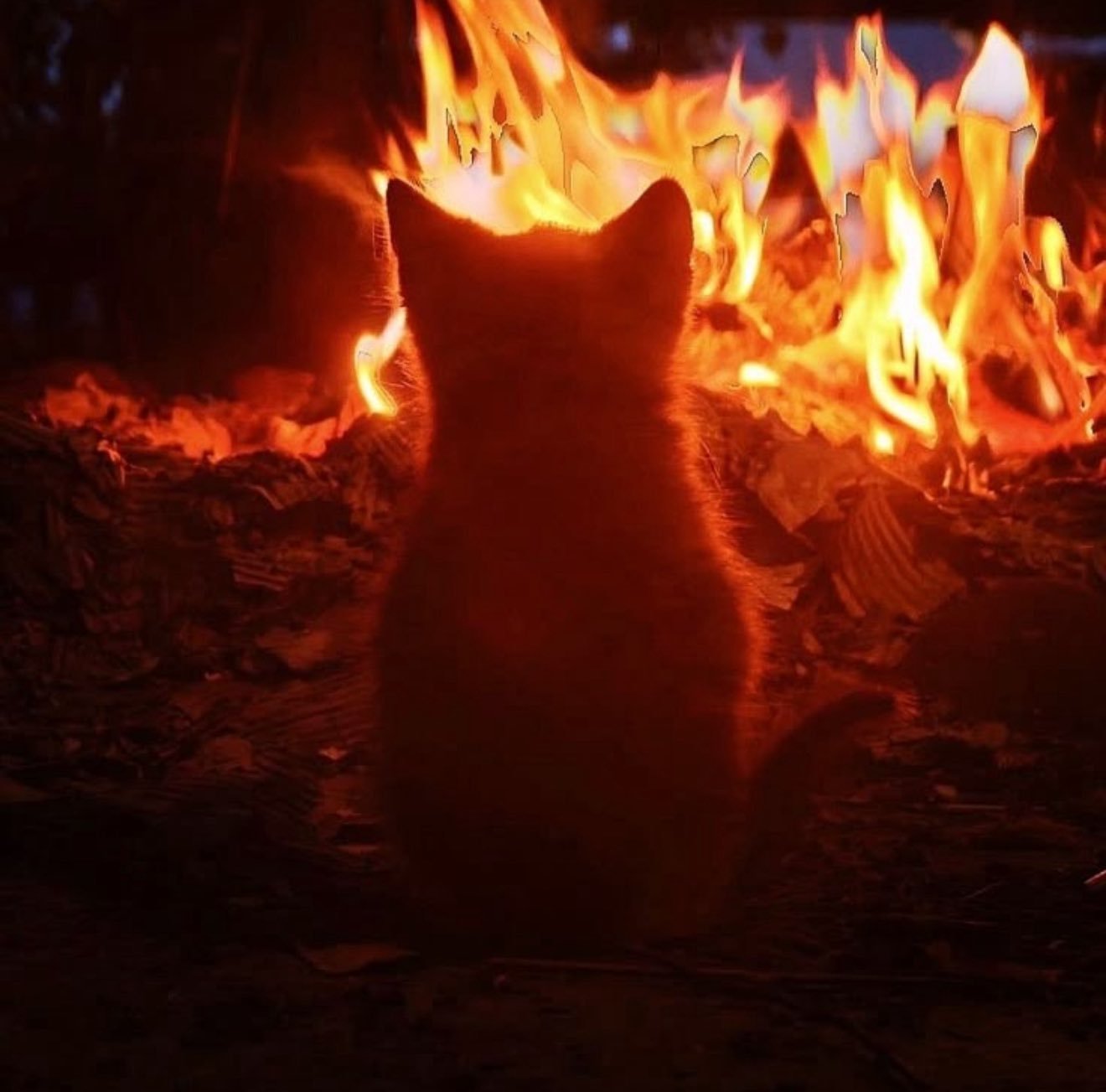 𝐂𝐡𝐮𝐫𝐫𝐫𝐫𝐫头像更新🔥 ​​​