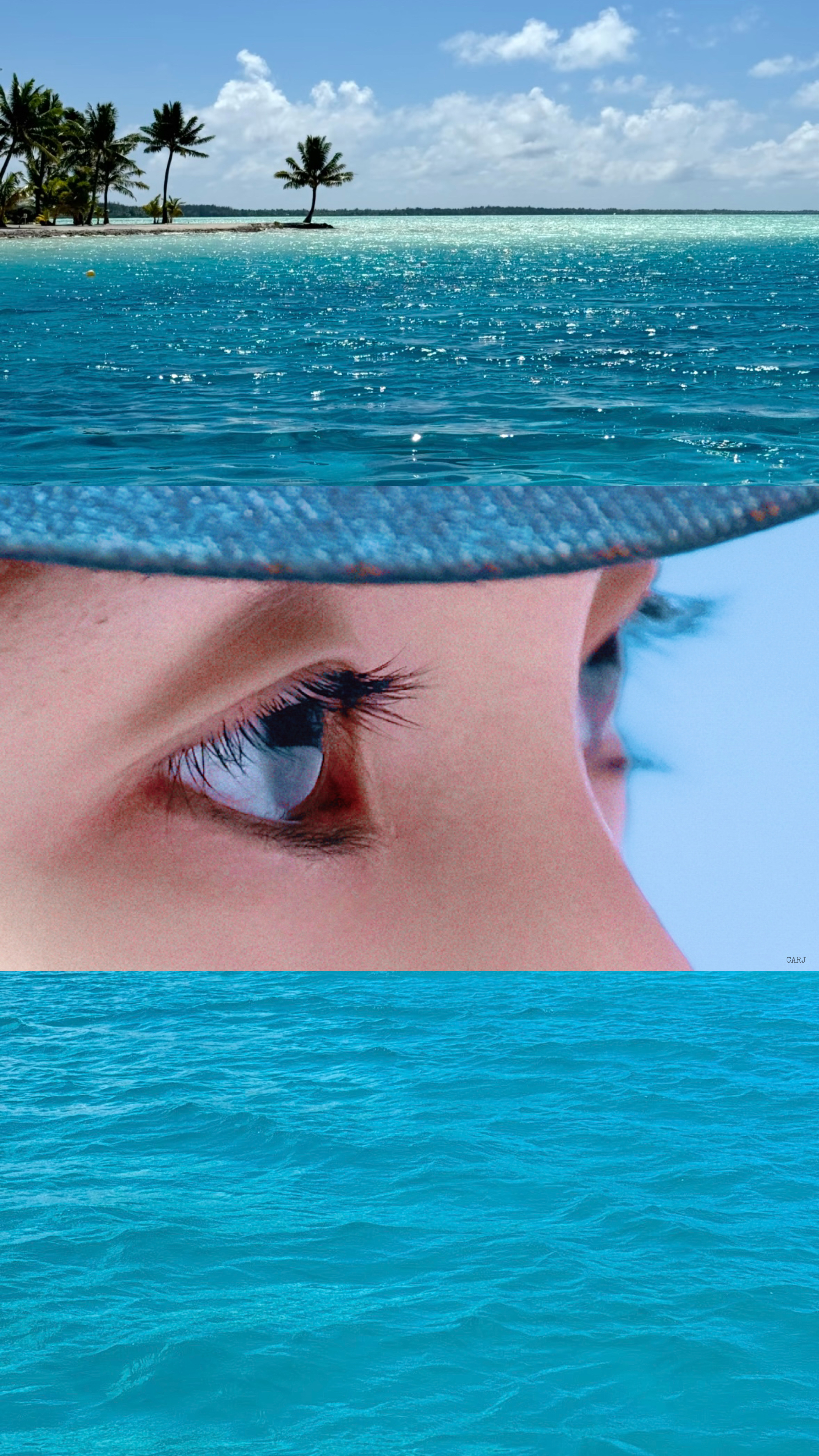 🌊 