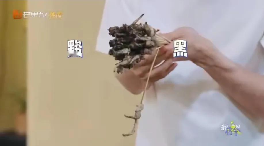 笑死了，敖瑞鹏在烤鱿鱼须的时候和别人聊天忘记了烤架上的食物，等他反应过来鱿鱼须都