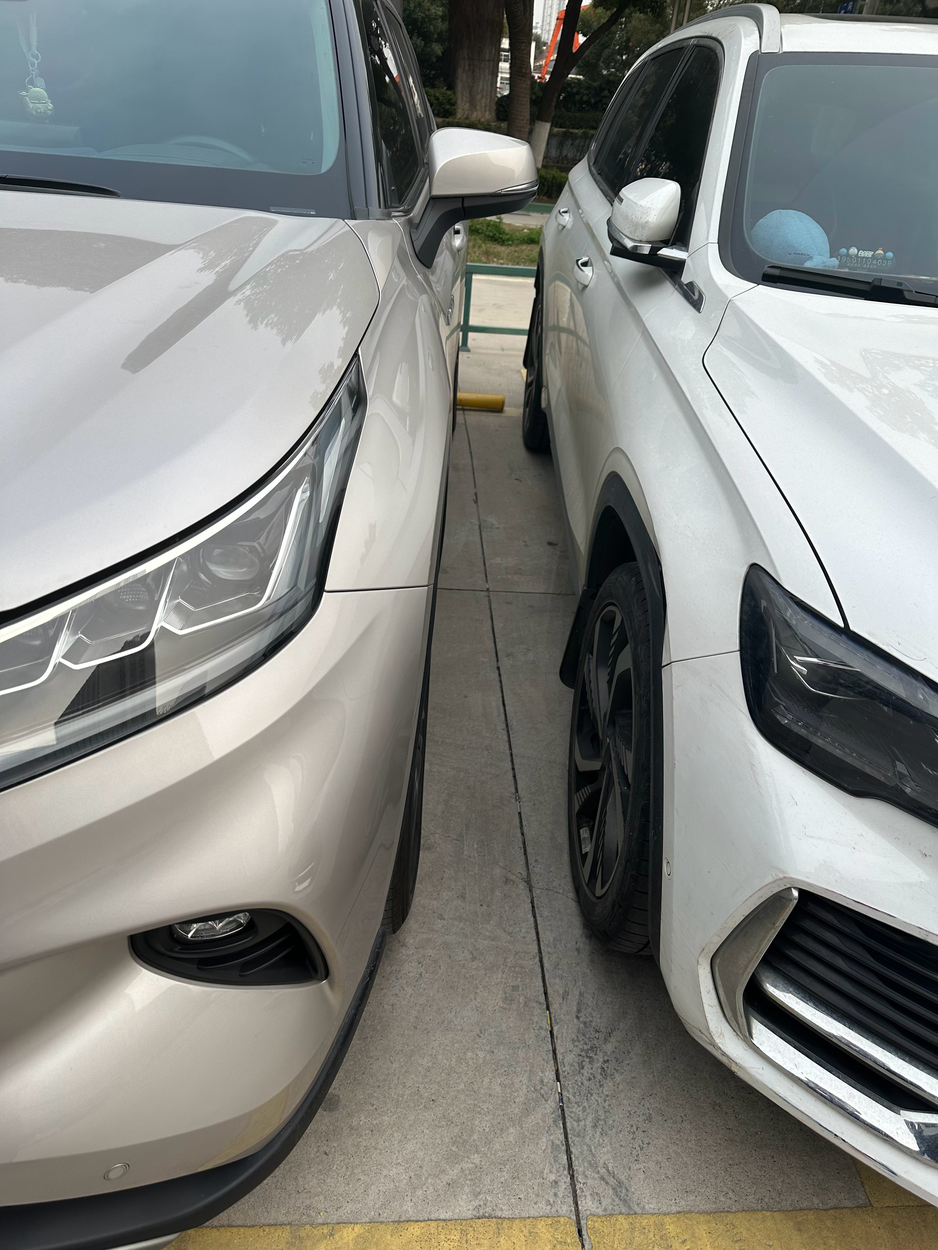 你可以再贴近一点的真会停，只能从副驾驶走了 