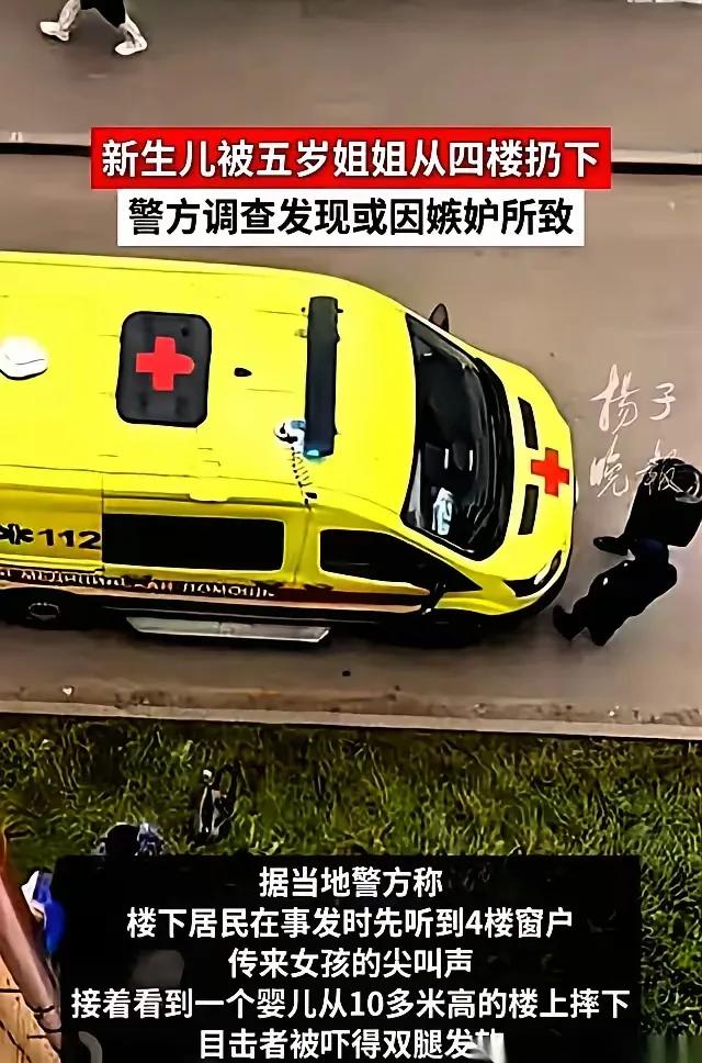 五岁的姐姐把新生儿丢下四楼，感觉这个小孩天生就是恶毒的品质，别说什么是因为爸爸妈