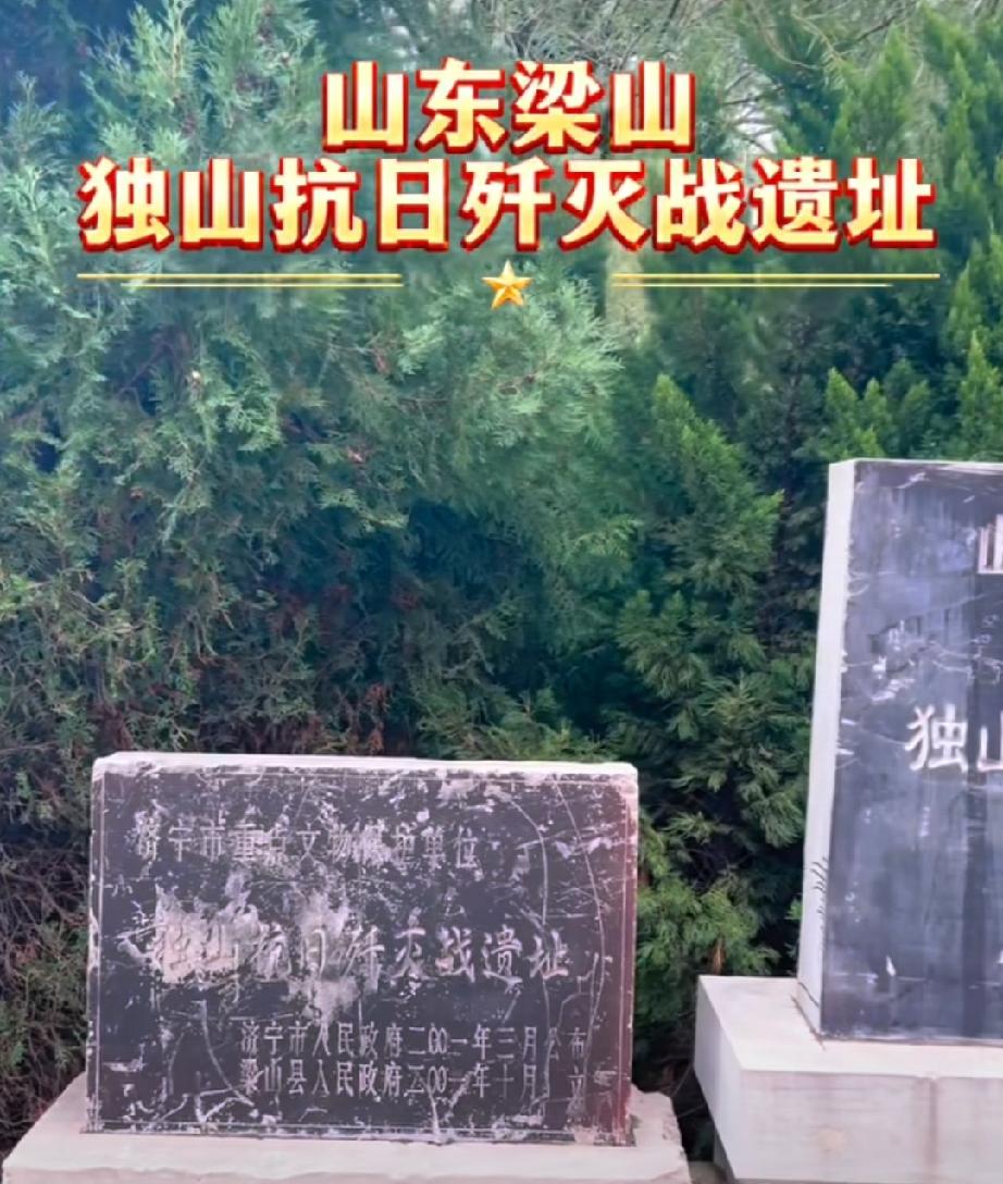 独山抗日歼灭战遗址
位于‌山东省济宁市梁山县水泊街道独山村‌，是 1939 年八