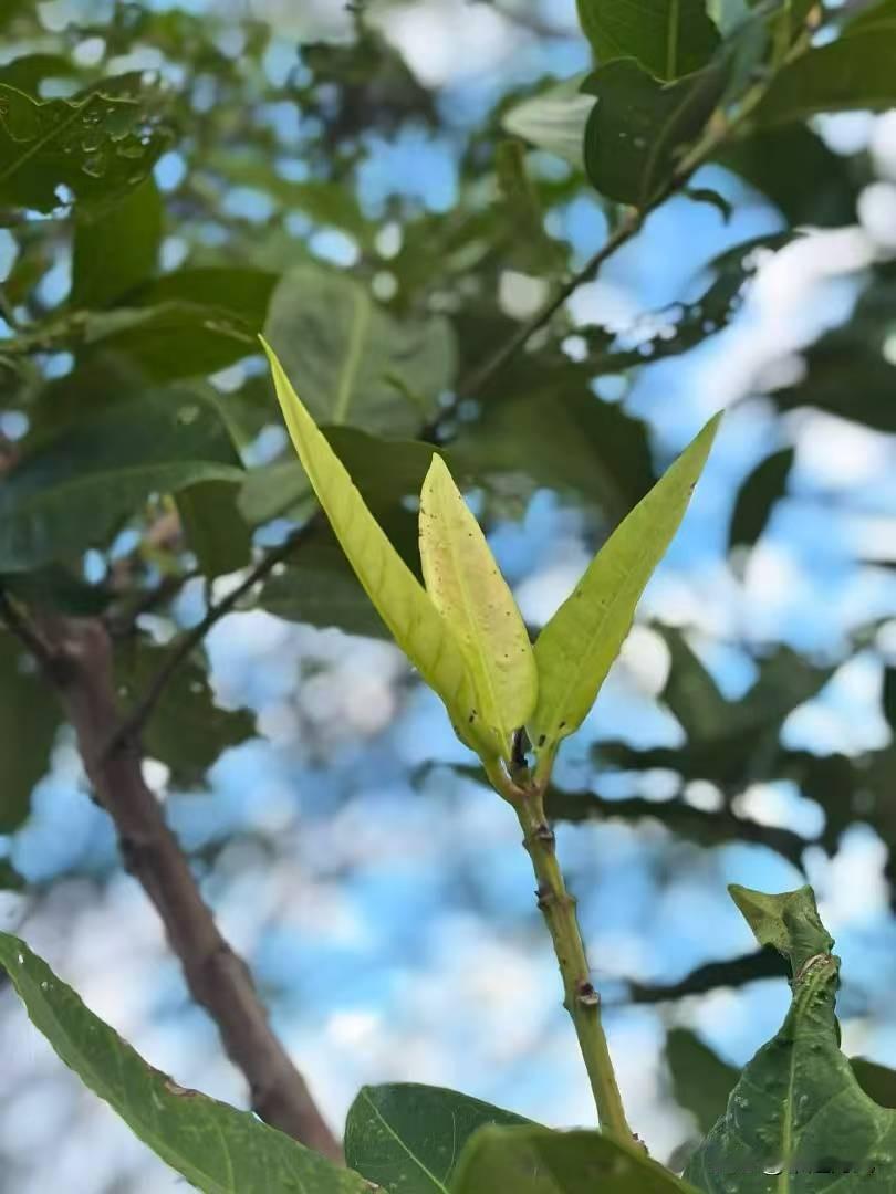 冬日生活打卡季