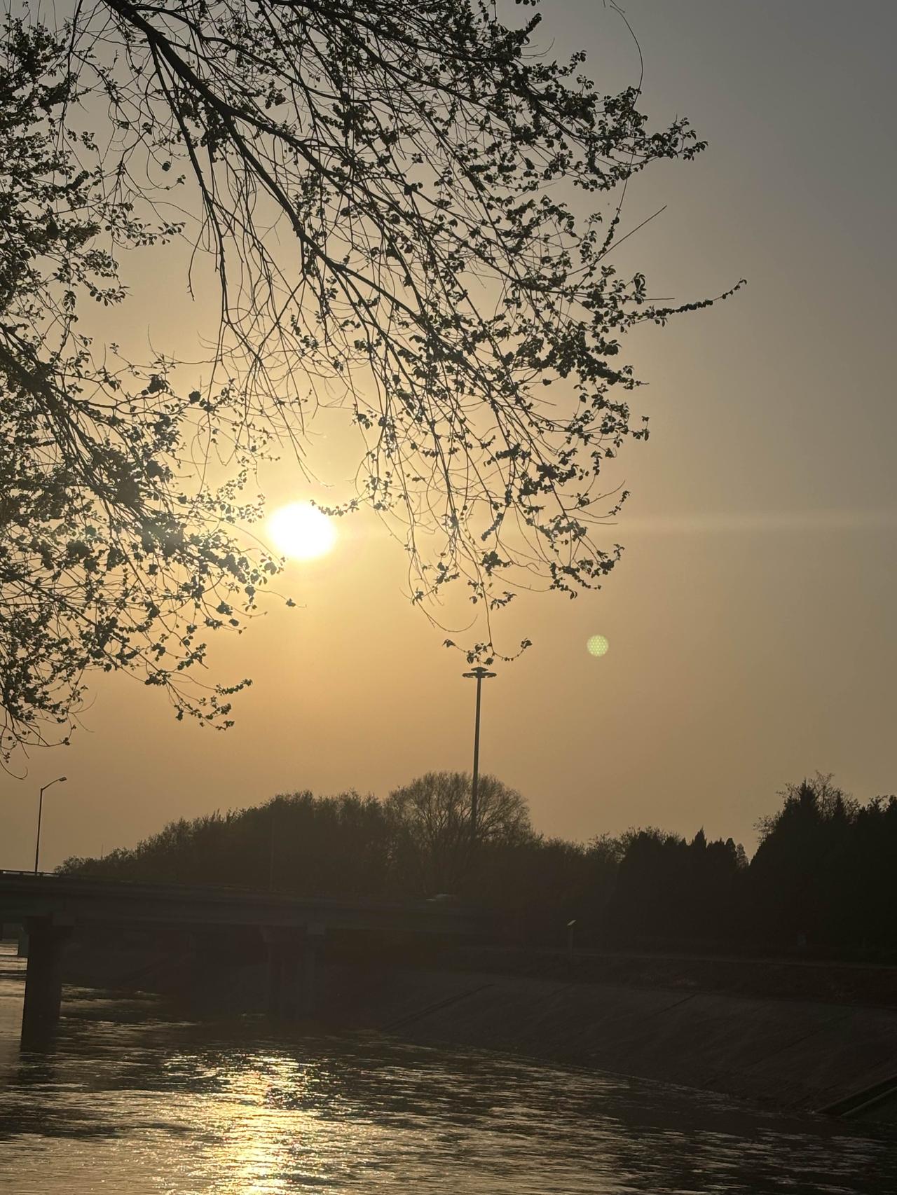 河水东流，夕阳西下，落日熔金铸晚霞，树影斜挂添悲凉。