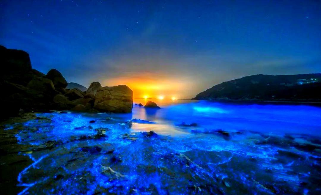 西贝道歉1.2亿次：你们骂得越狠，我赚得越多
西贝又道歉了。
涨价。被骂。道歉。