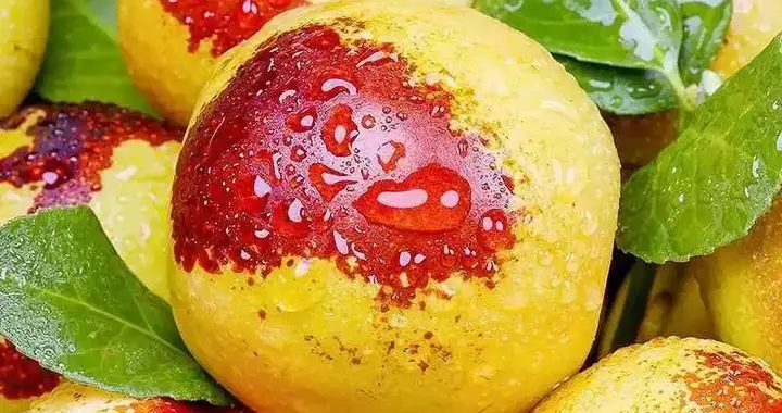 秋天，宁可不吃肉，也要吃它！维C是苹果的76倍，脆甜可口超好吃