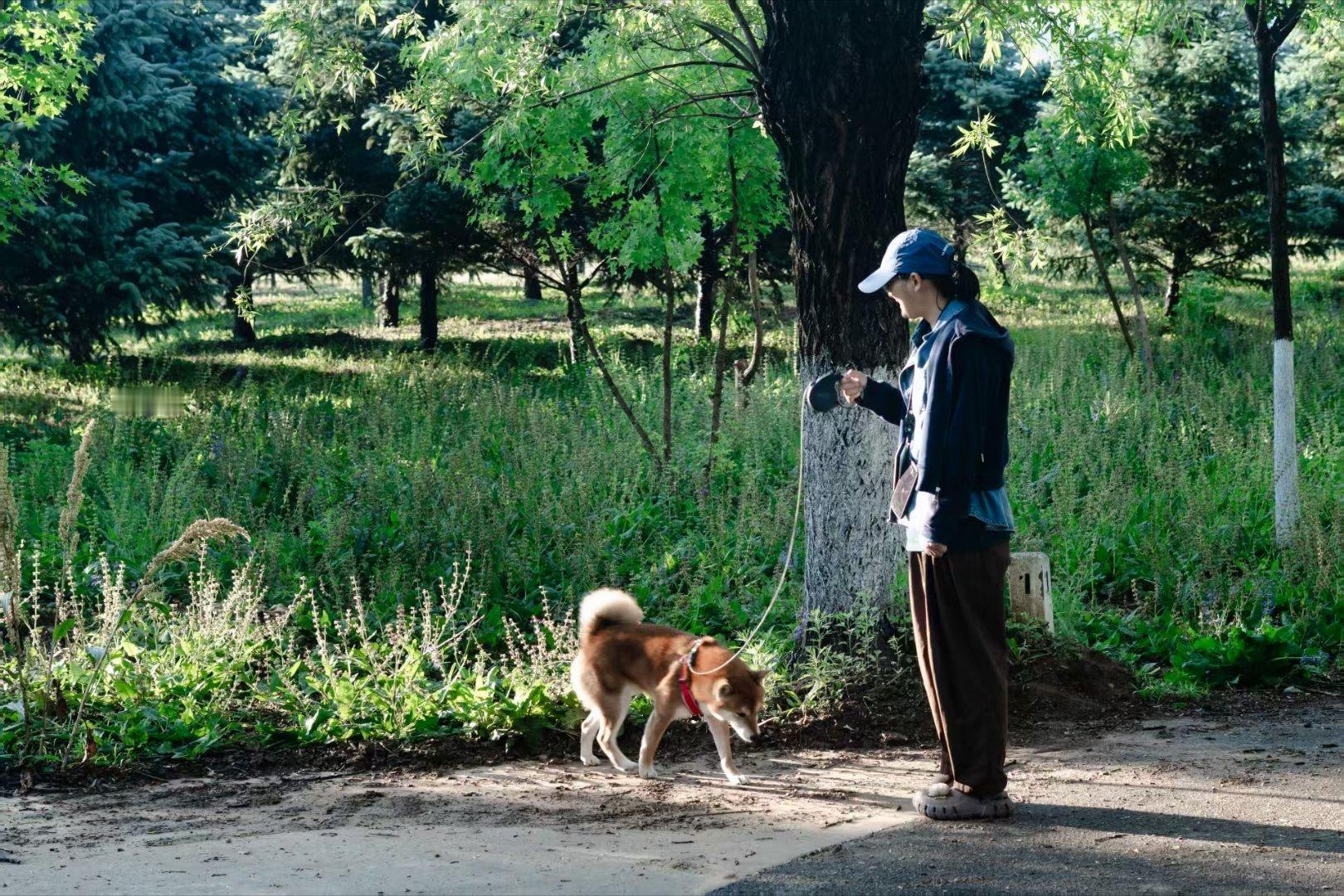 *在路上*遛狗很带劲儿...二富... 北京·刘斌堡村村委会