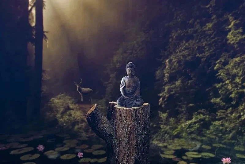 做人精明，不如厚道一点计较，不如谦让一点强势，不如和善一点争斗，不如和谐一点 