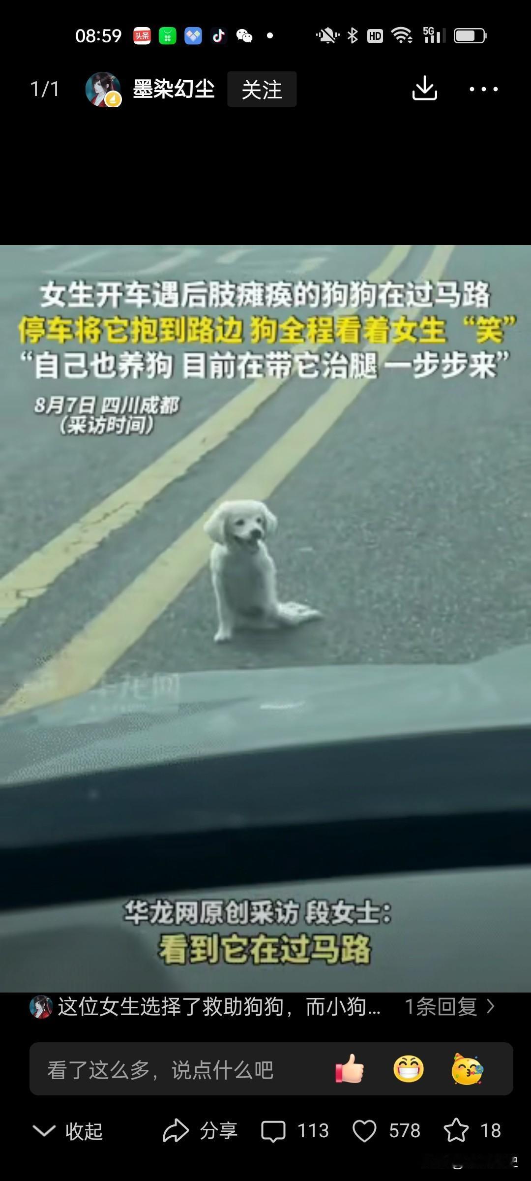 成都暖心一幕！瘫痪狗狗车流中艰难挪步，被救下后全程微笑致谢
 
感动！四川成都，