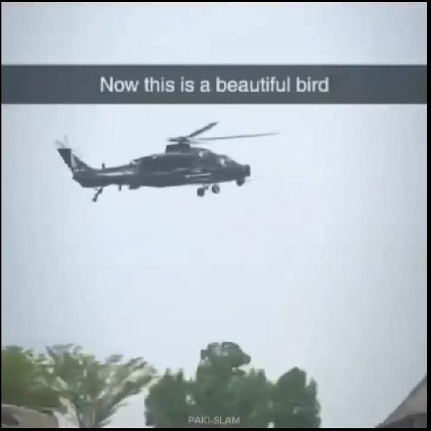 画面中，巴基斯坦陆军航空兵采购的武直-10ME武装直升机，用的是解放军陆军航空兵