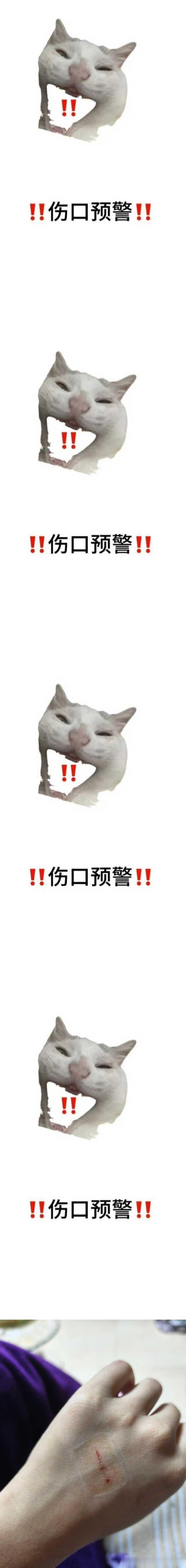 49591【心灵丑】拳打饲养员，脚踹铲屎官 