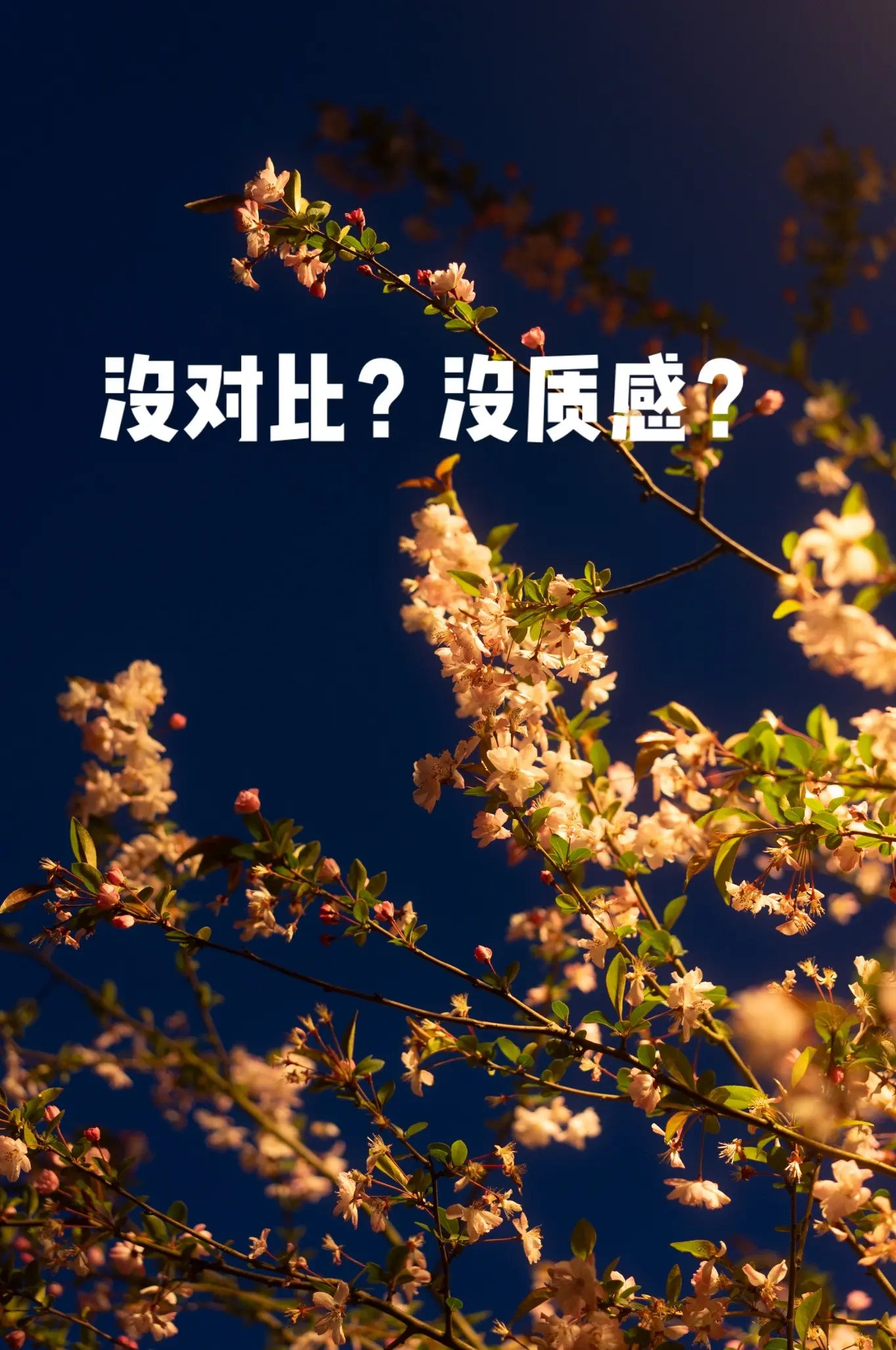 Lightroom！启动！