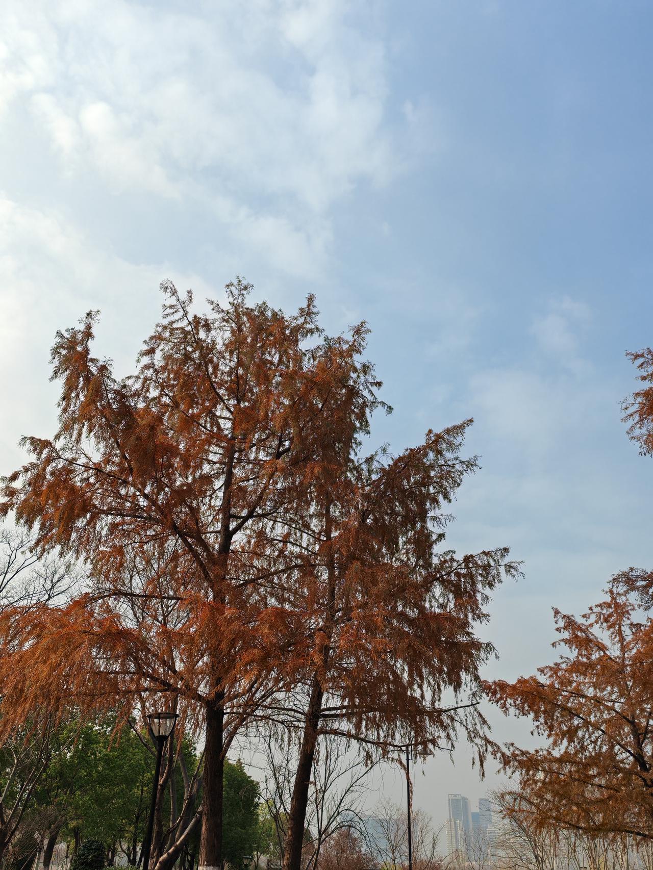 好久没有经过这种场面了，犹豫犹豫，下一个完全不给你犹豫的时间。 

这是真的吗？