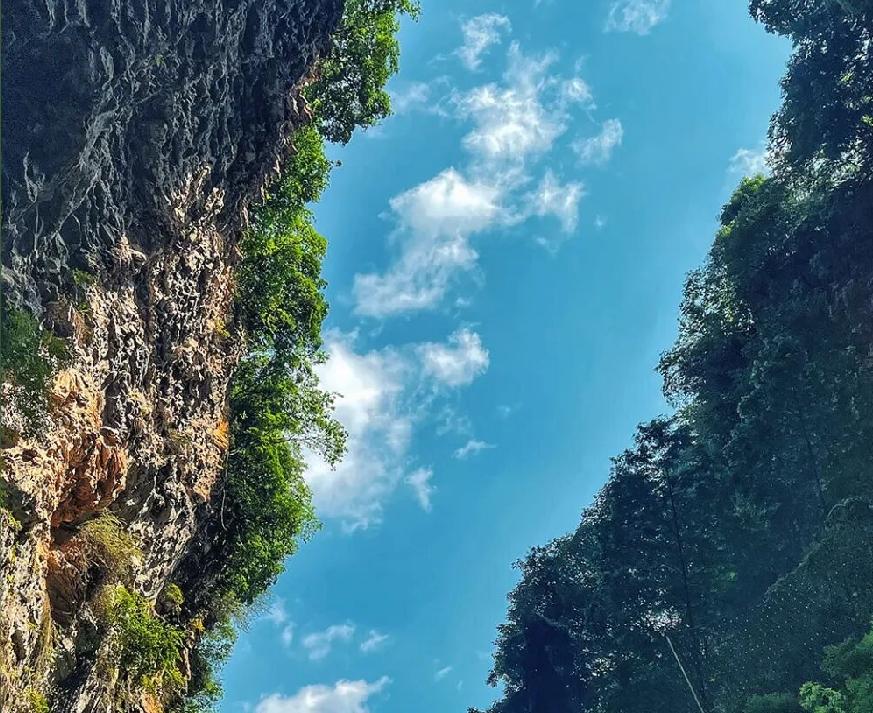 【中年的体面，从来不是对抗生活，而是安顿自己；不抱怨命运不公，不纠结过往得失，不