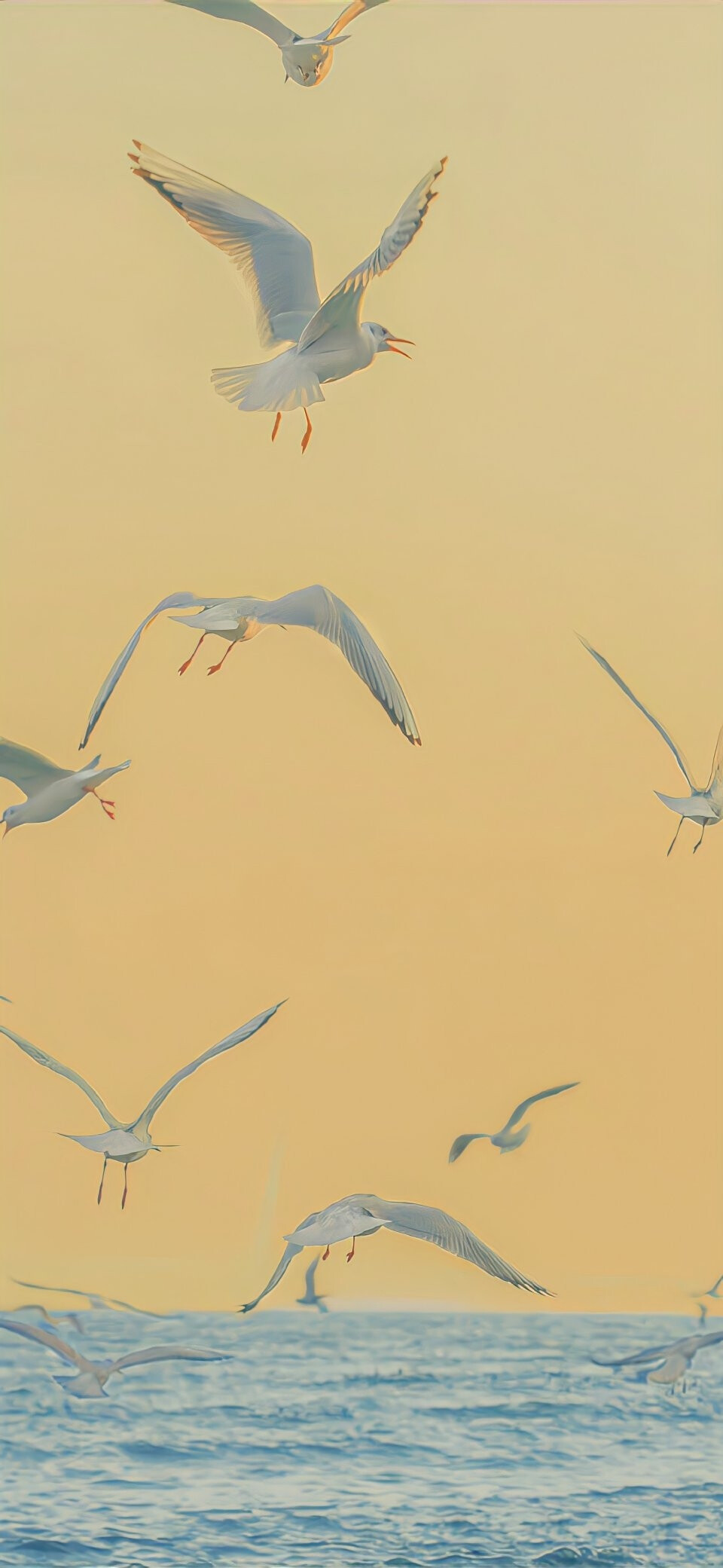 20240607日运指南壬寅日今天这个日课的主题无非就是五个字，付出就有回报。而