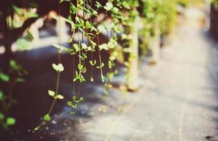 十二星座女希望男友拥有哪项技能：别不承认，说的就是你们白羊女：希望男友是保姆+偶