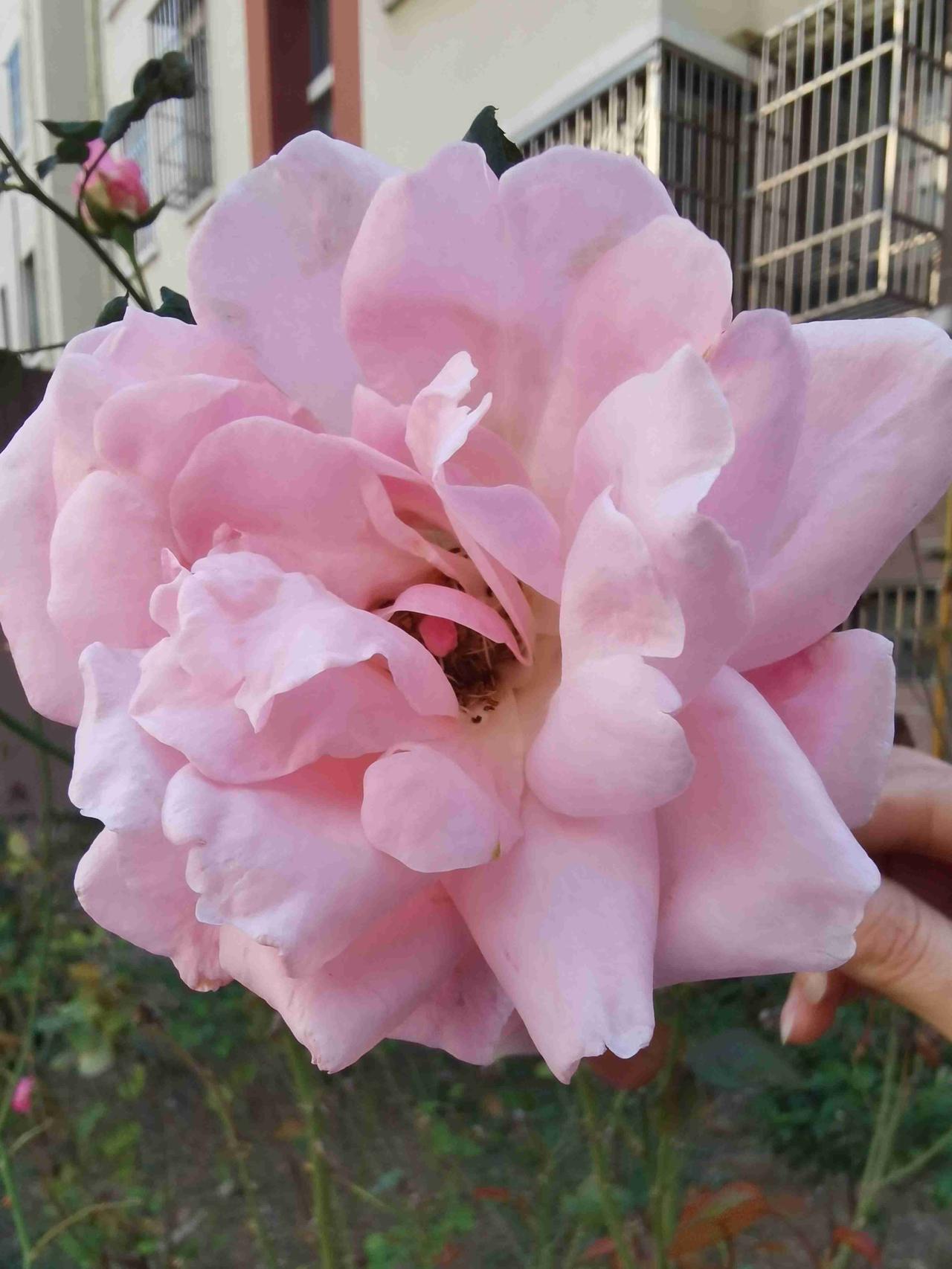 我的今日状态：💰期待暴富
我这里的天气：☀️晴天

这降温也太猝不及防了！前几