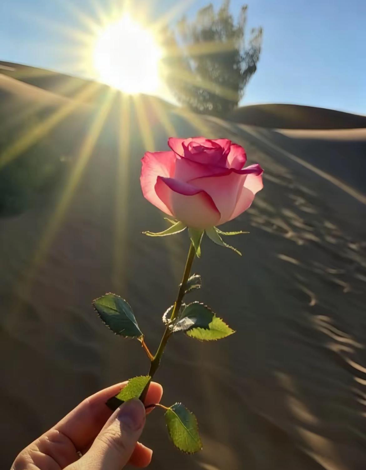 不管男人女人，

最顶级的自信，
真不是颜值有多高，
而是兜里不缺钱。
有钱不用
