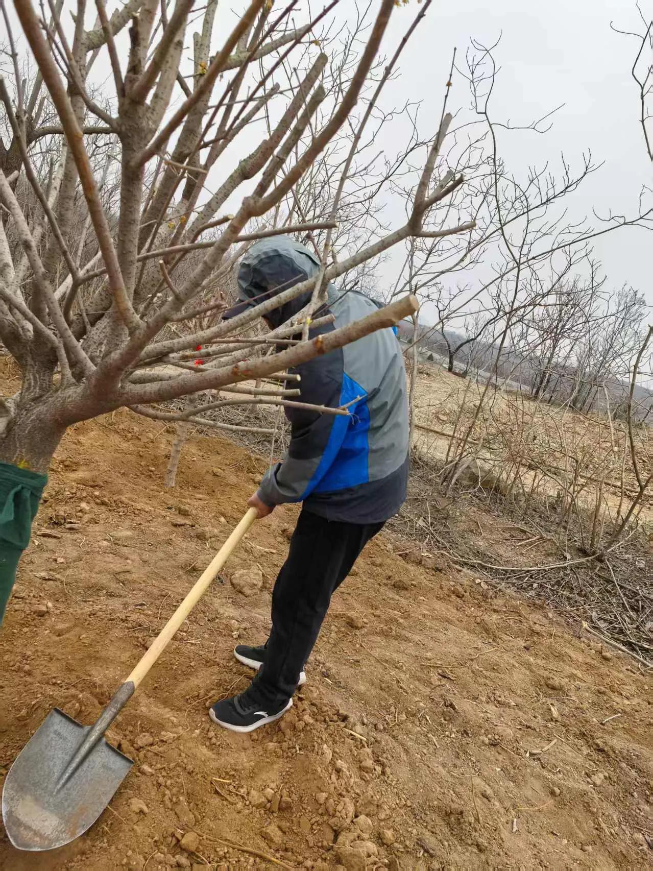 营养过剩导致超重及肥胖，过度运动导致运动损伤，中药没有副作用，这些认知我们在生活