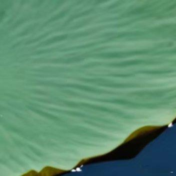 每日一善 🌞每日一善 谁的人生不是荆棘前行，你跌倒的时候，懊恼的时候，品尝眼泪