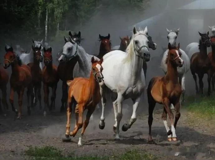 马年要有新气象，希望丙午马年的中国向世界传达出新的信息。这就是中国人民是团结的同