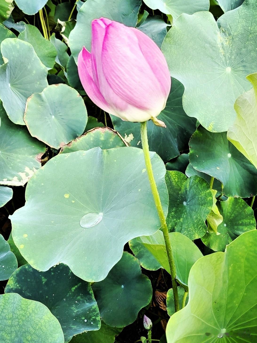 幸福其实很简单，
幸福就是四季平安，身体健康！