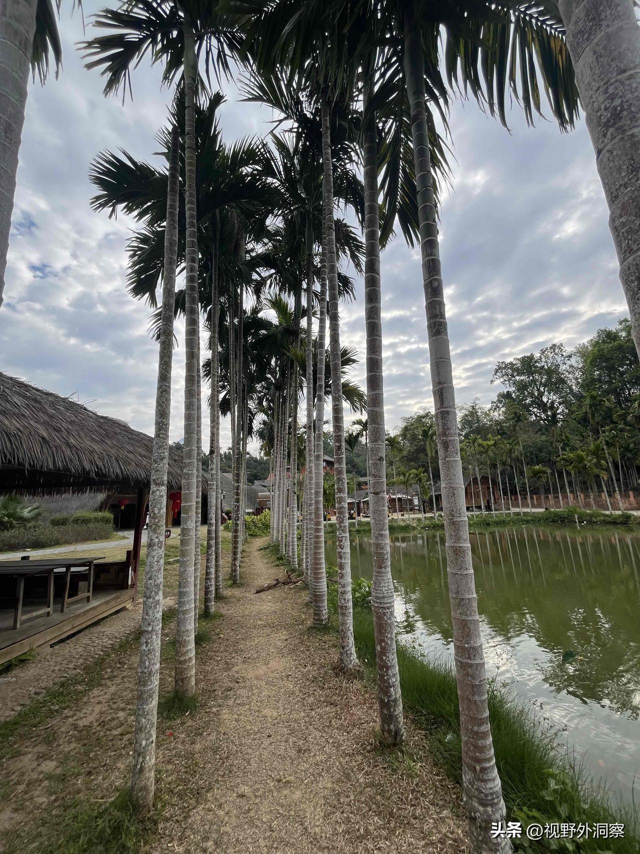 乌克兰熬过了这个冬天。
        伴随着2026年春天的脚步，来到这个世界