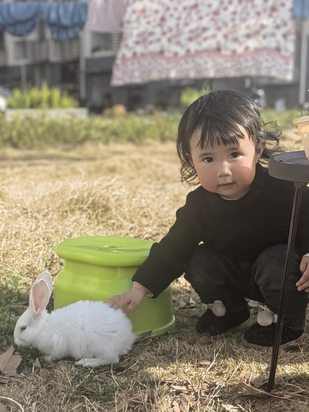 女人到了五六十岁
最幸福的活法
便是独自生活
有房可居，有钱傍身，有快乐常伴
拥