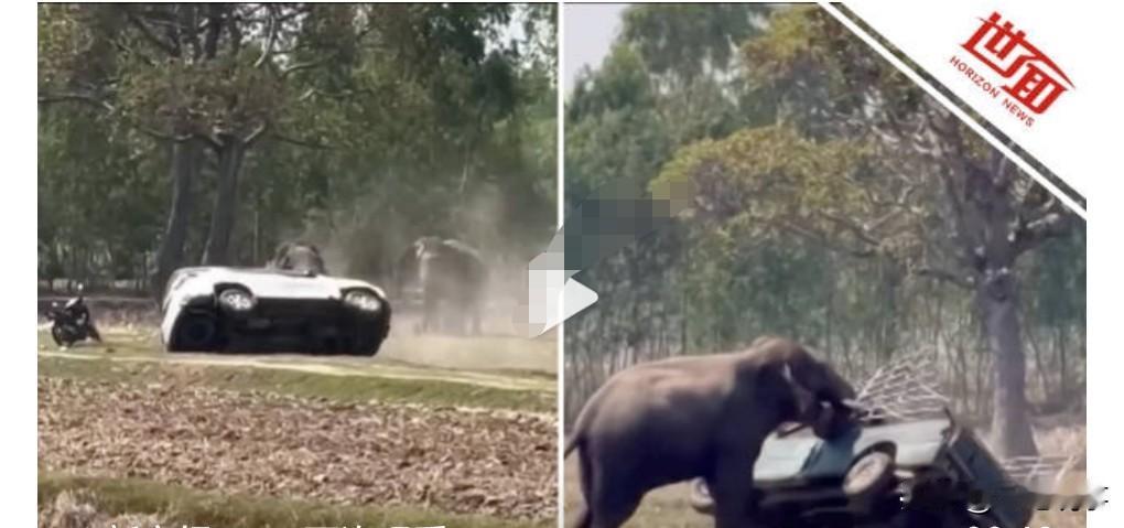 做人一定要有眼力见，不要得罪他人，有时候连动物都不能够得罪。

2月20日泰国，