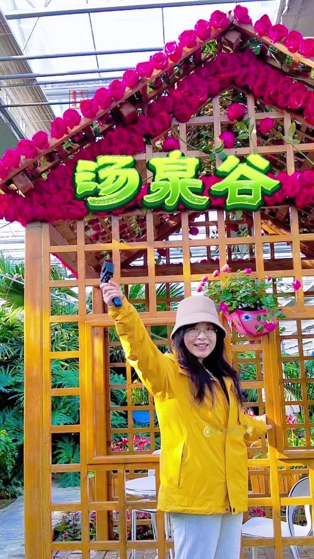 谁说冬天只有白雪？🌿冬天来汤泉谷，意外撞见一片秘密花海！暖棚里温度适宜，各种叫
