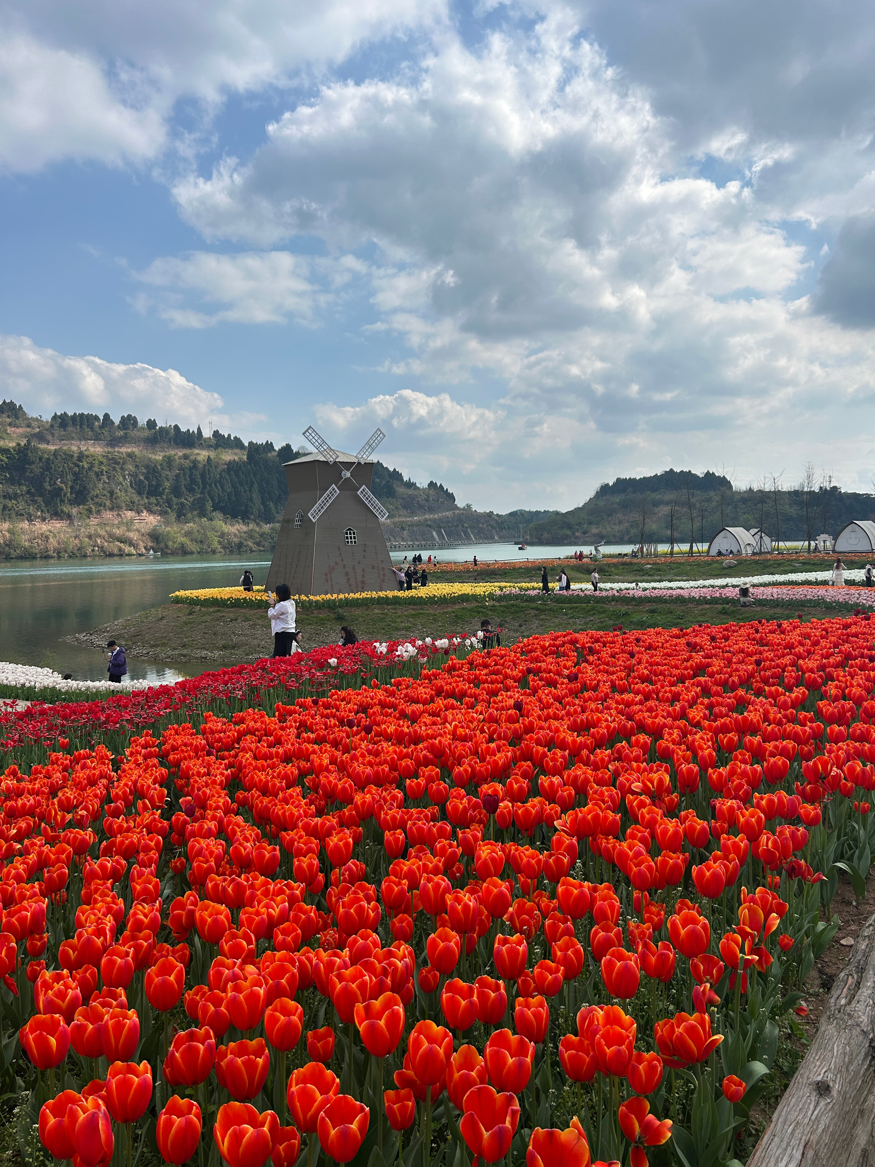 随手拍春天 我站在春天里风是暖的，光是软的所有不开心都留在昨天接下来是无数次的春