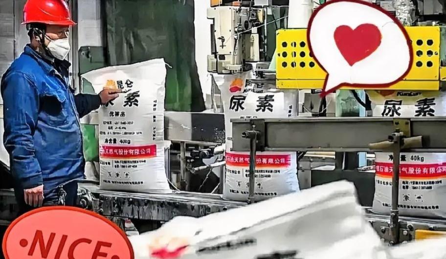 霍尔木兹海峡那边还没消停，谁能想到，咱们西北新疆、宁夏和内蒙的尿素厂却忙得脚不沾