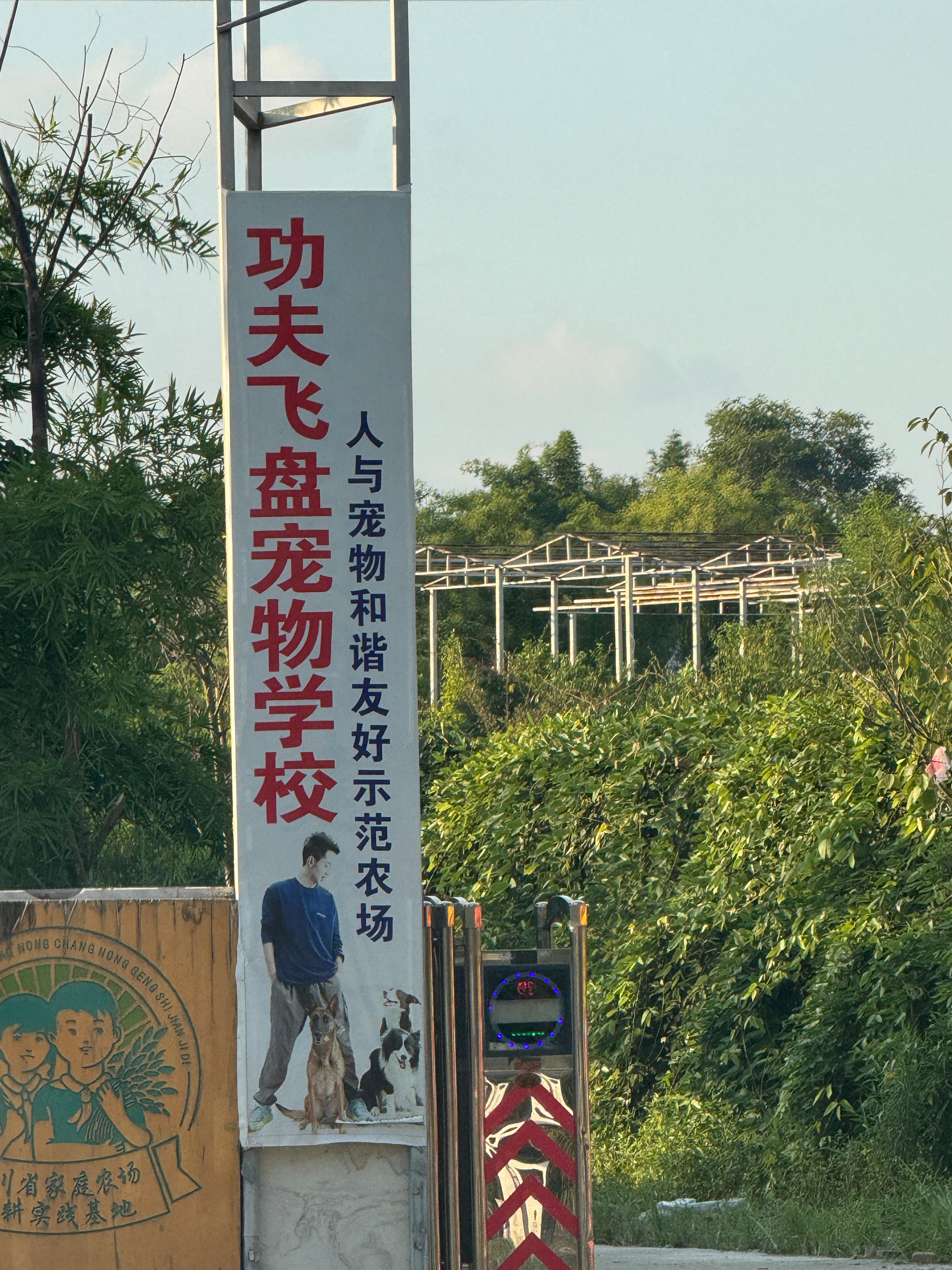 我想问一下 这是学什么的？狗子学会会跳起来给你来一套军体拳？宠物狗子飞盘  ​​