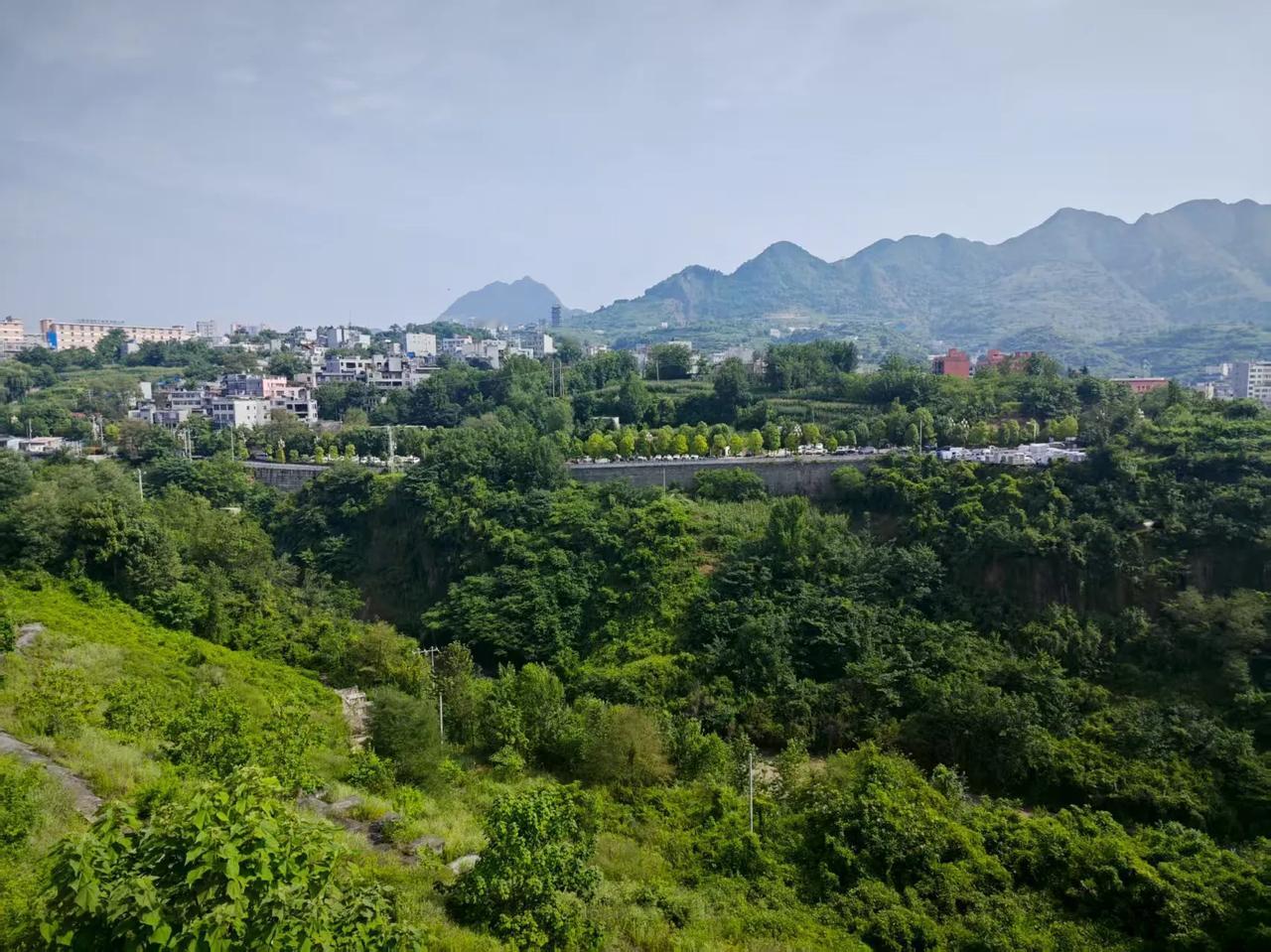 泸州老窖为什么这么受欢迎?我为什么喜欢泸州老窖，而且在我创作的小说中曾多次提到过
