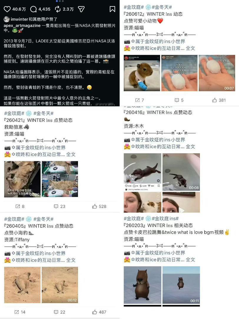 金冬天田柾国点赞同一条帖子词条说改就改团队是不是有点太明显了 金玟庭点赞的动物贴