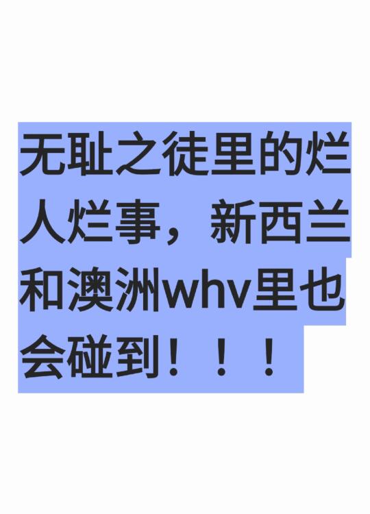 建议想whv的人先去看看无耻之徒