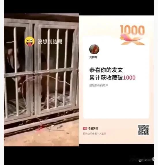 我在头条累计获收藏量破1000啦！

宝子们，我出息啦！今天一看，我在头条的累计