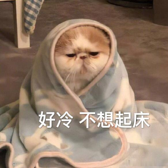 看到首页有人说失业了瞒着家人假装上班，其实我也有过这么段经历，冲动离职了，又不想