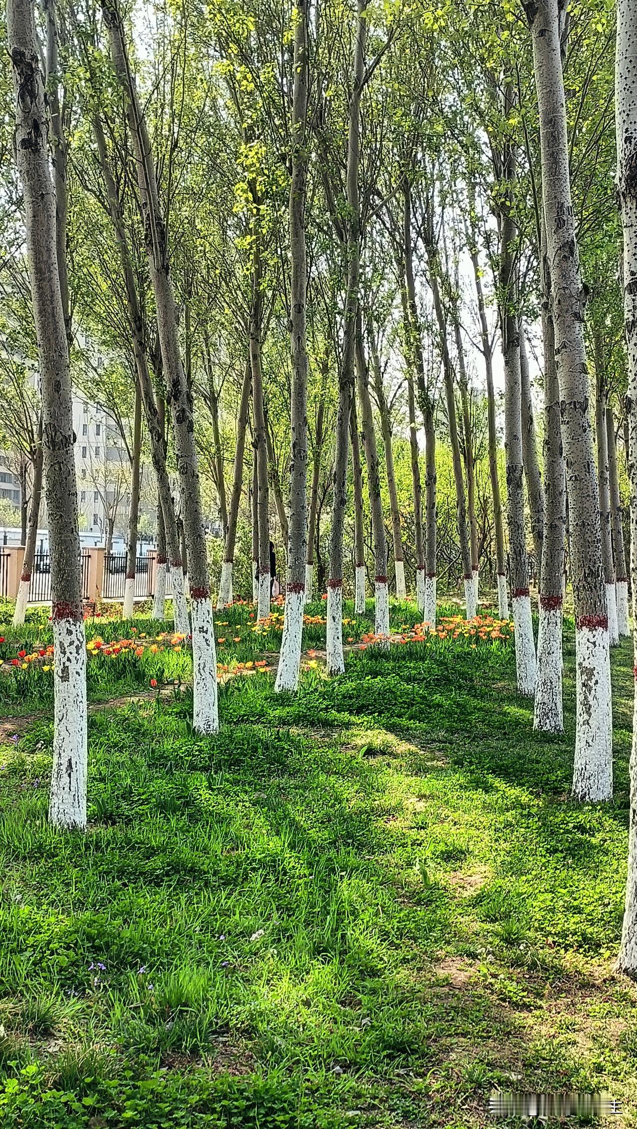 终于知道为啥有钱人生不了孩子，代孕，人工授精都要找质量高的人群了，因为很多基因都