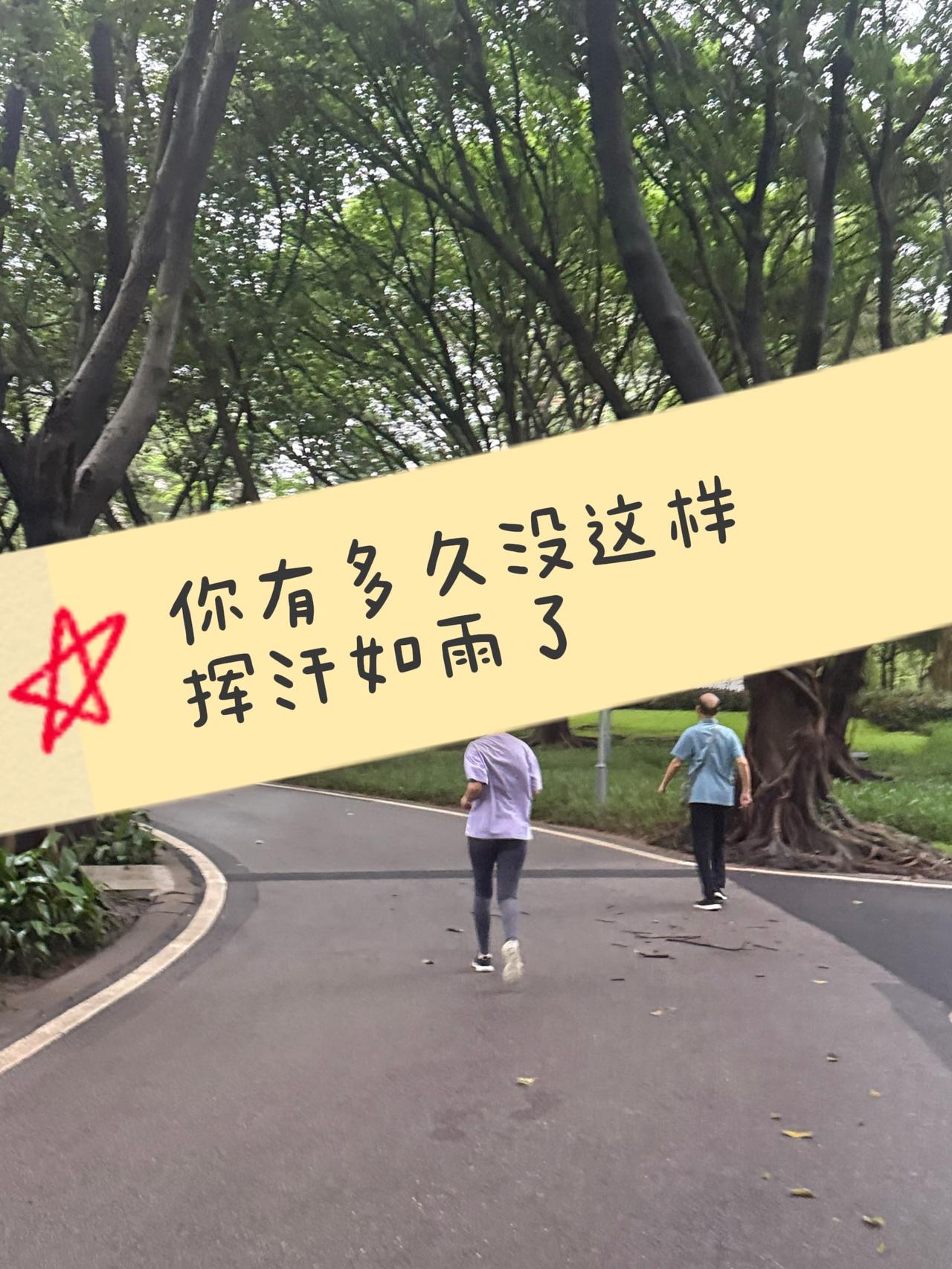 中年危机下的“误解”与“自我救赎”
在岁月的长河中，中年宛如一座静谧却又暗流涌动