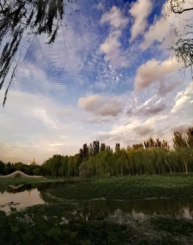 11月2日全红婵伤愈首秀夺冠后，在社交媒体发文“我真棒”，太可爱啦！这次全运会先