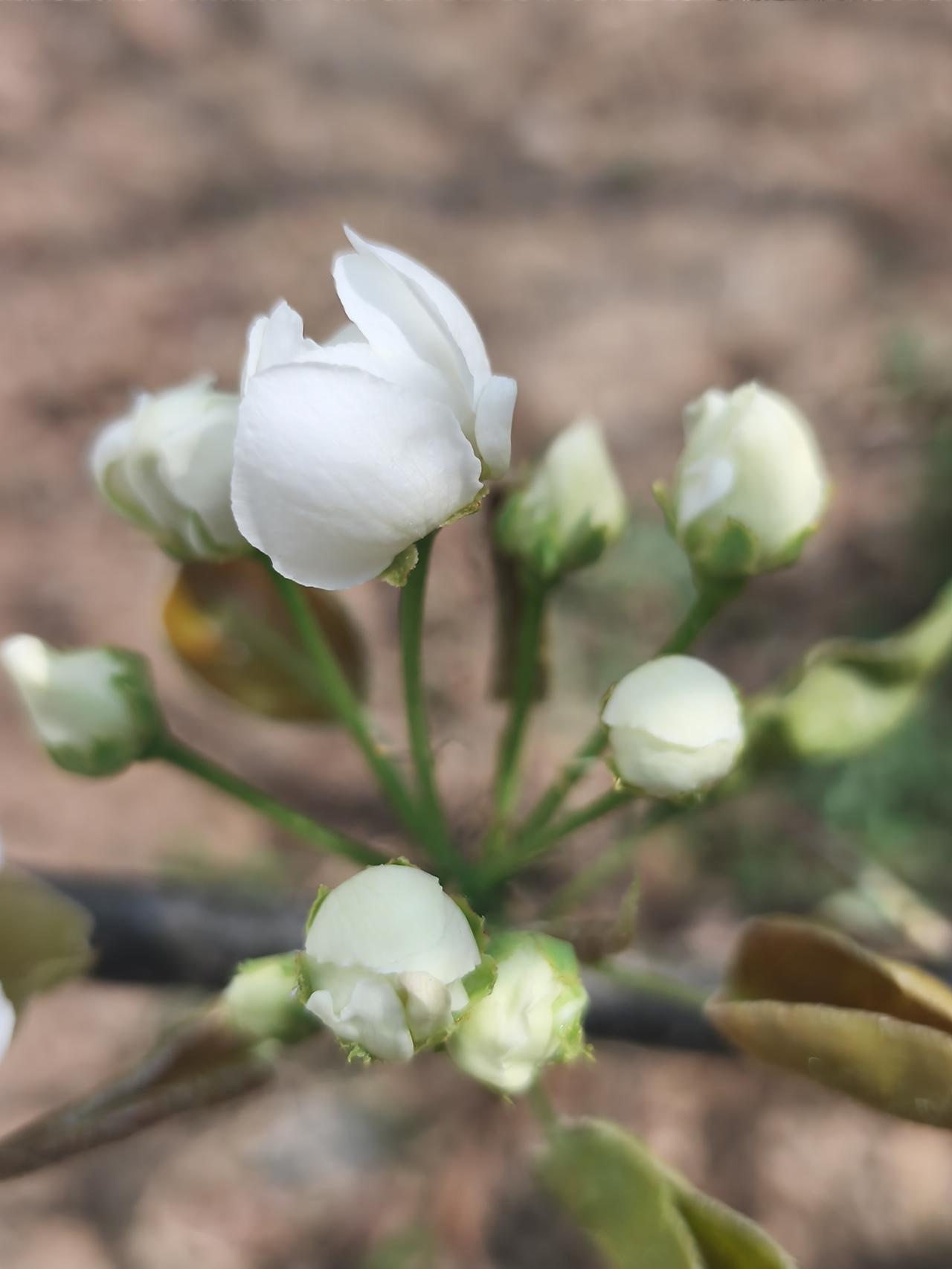 饭局将要结束的时候，朋友说，有机会回去看看吧！不要担心我们管不起饭，退休金花不完