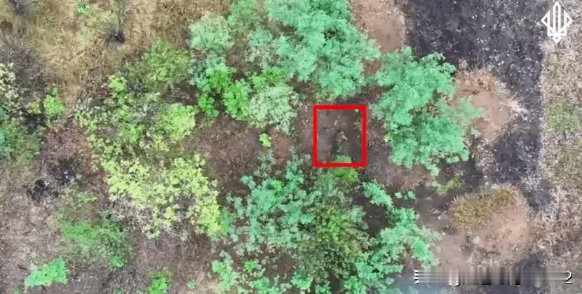 我们第一次看到：俄罗斯人开始将妇女投入战斗

摘要：在波克罗夫斯基方向，乌克兰武