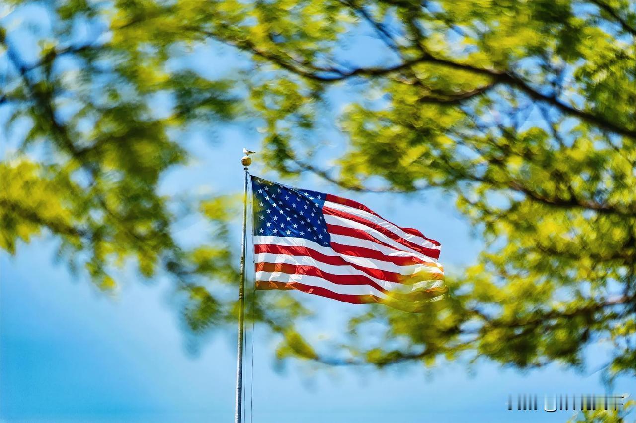 近期美国的军事外交动作也太密集了！一会儿搞大规模联合军演，一会儿拉着盟友组“小圈