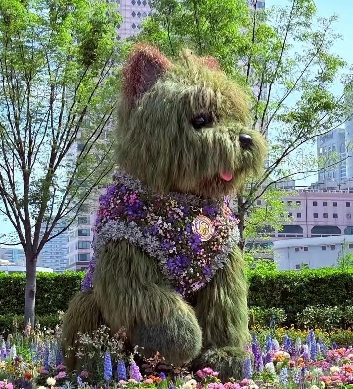 生活没有标准答案，但每一天的努力，都在书写属于自己的精彩。