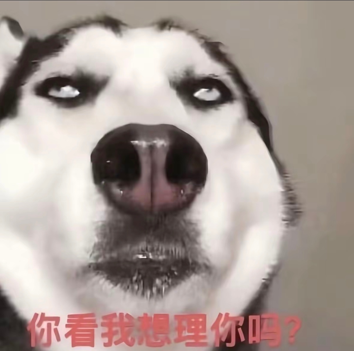 我对大婆们永久心情 ​​​