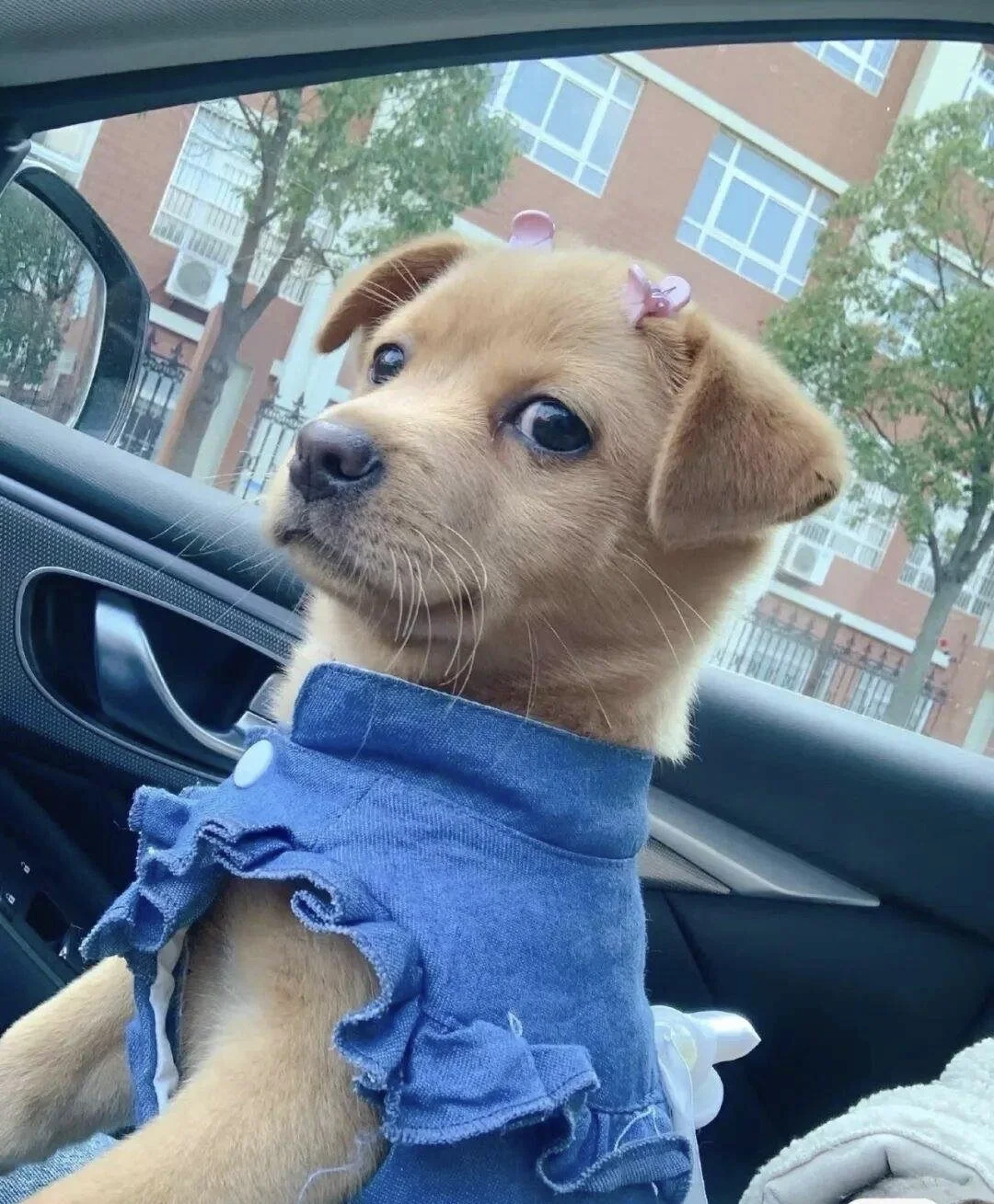 一件事能不能做成，也许在你“下决心”的那一刻就已经有了结果。这听起来有...